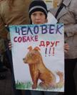 В Нижнем Новгороде зоозащитники борются с отстрелом собак