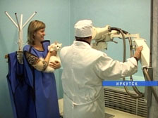 Рентгенкабинет появился в Иркутской ветполиклинике